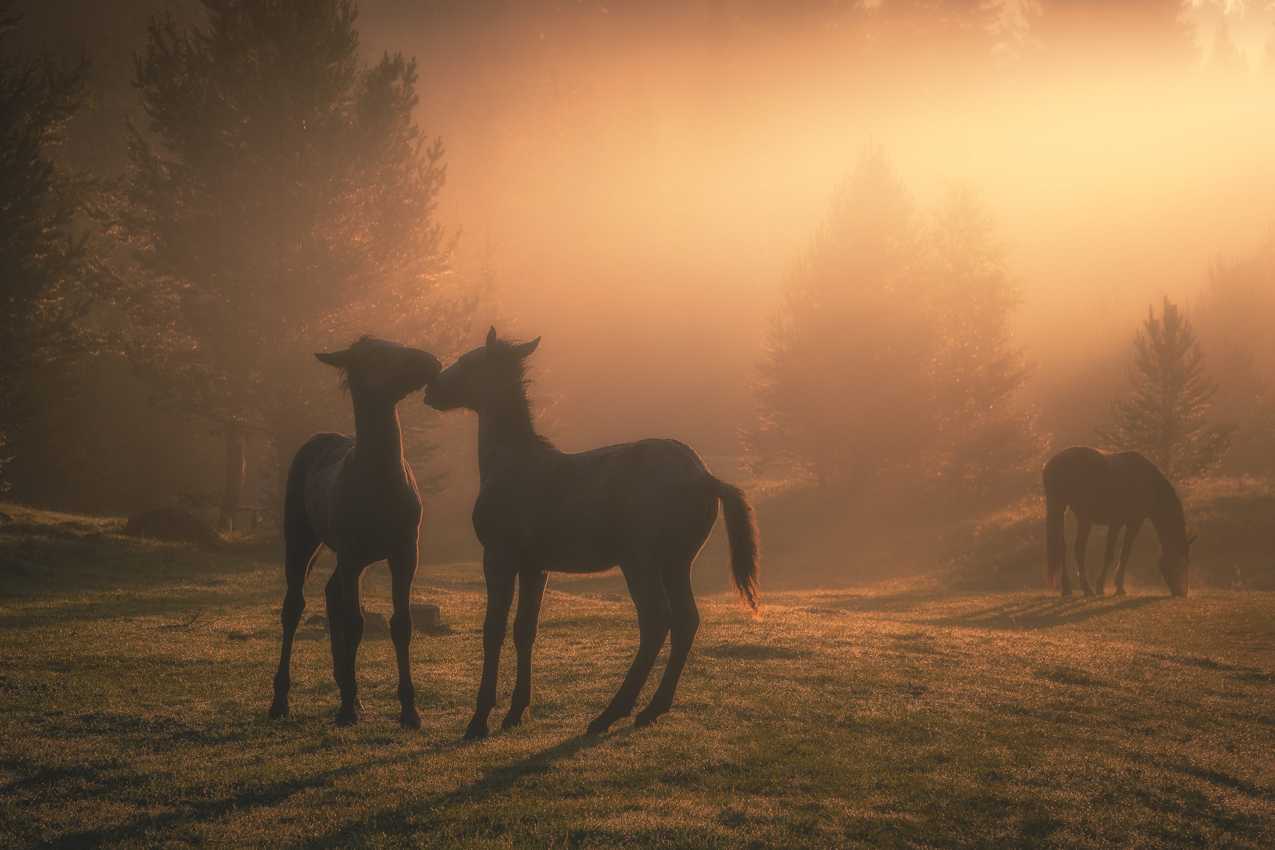 6iStkh6Xfocx8cesE0gQWsw__ZkYdjMPZZSPg3QONYPmphnynlXQfgW8nkzEIuaiXznQaLokQ01JfAOz3jYBjgZk.jpg