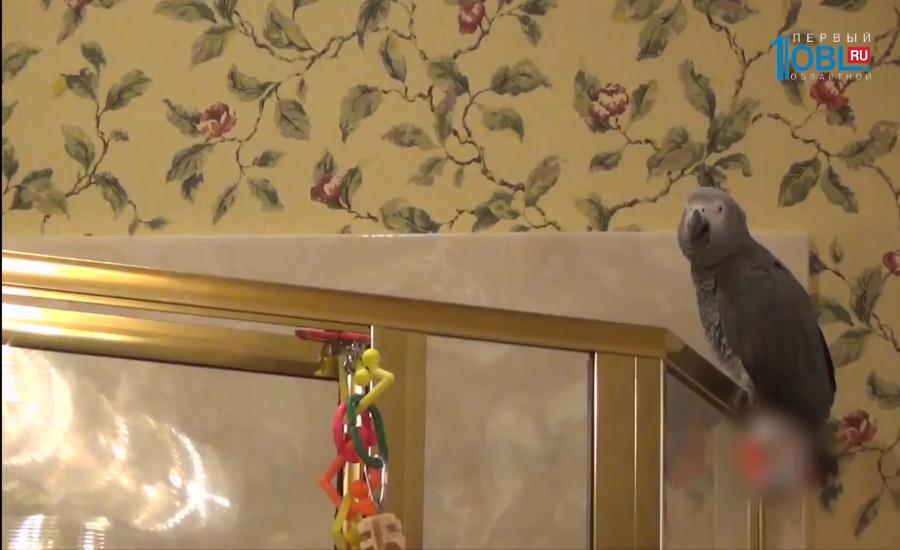 Обзор интернета за 7 декабря