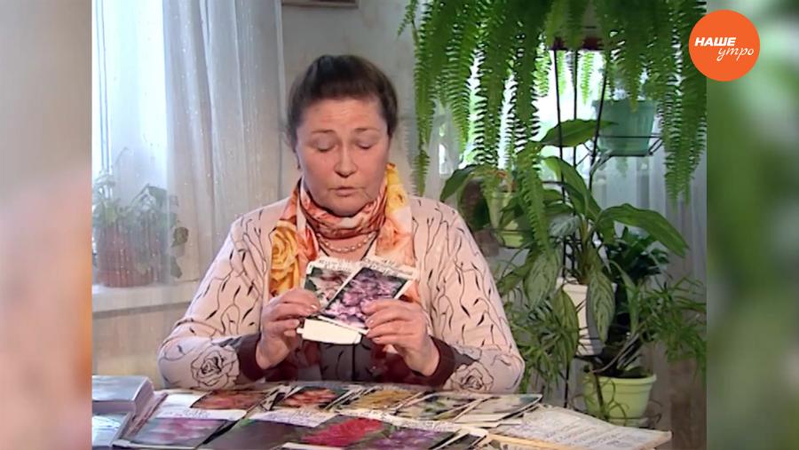 Садовые истории 20.01.17