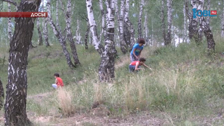 Алабай Лидер уже знает команды "сидеть", "лежать", "голос" и "взять"