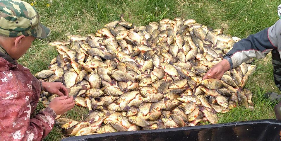 В Челябинской области задержали рыбака с 93 кг незаконного улова