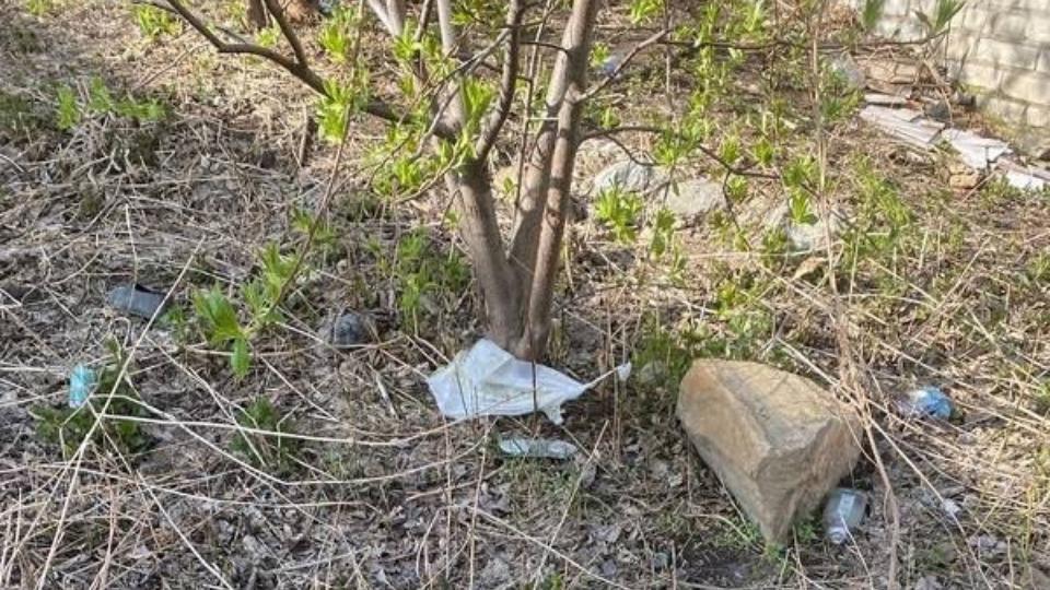 В Челябинской области женщина сбывала наркотики во время выгула собак