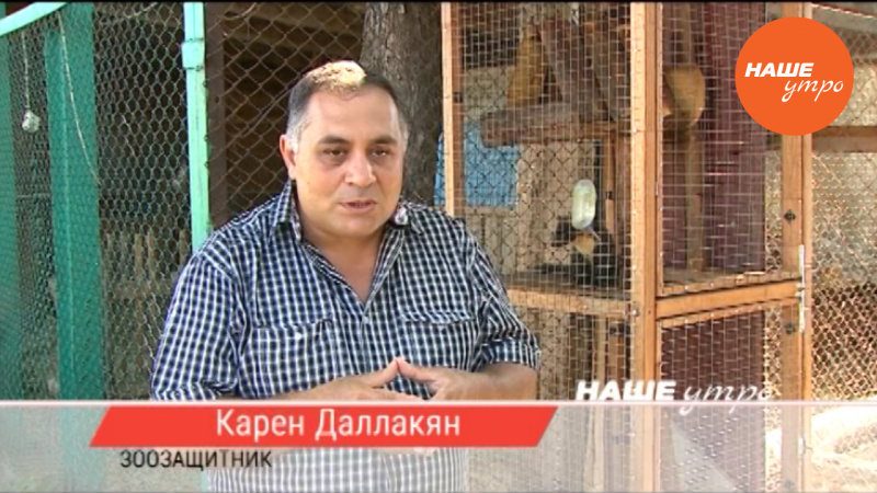 Корм для животных приюта