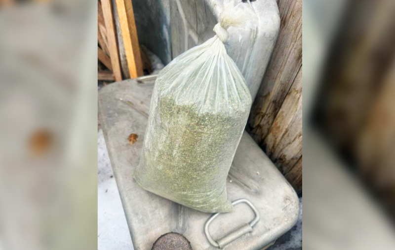 В Челябинской области у мужчины нашли три мешка марихуаны