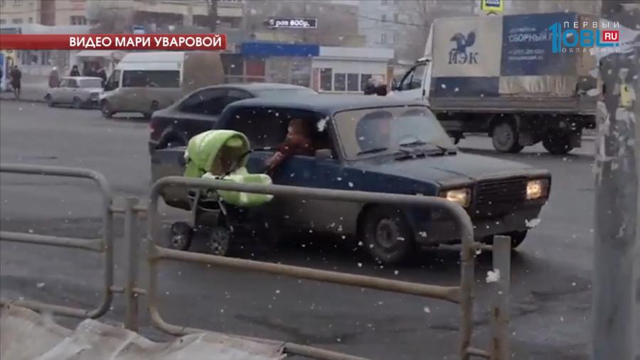 Необычных участников дорожного движения сняли на видео