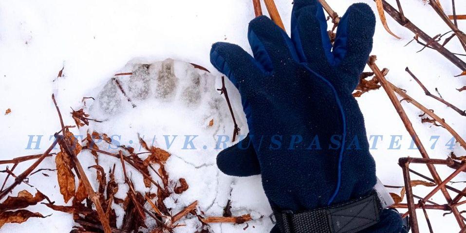 Пропавшую на горе Иремель челябинку Полину Захарову нашли