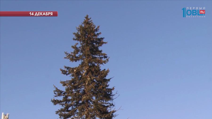 Елка на главной площади похорошела