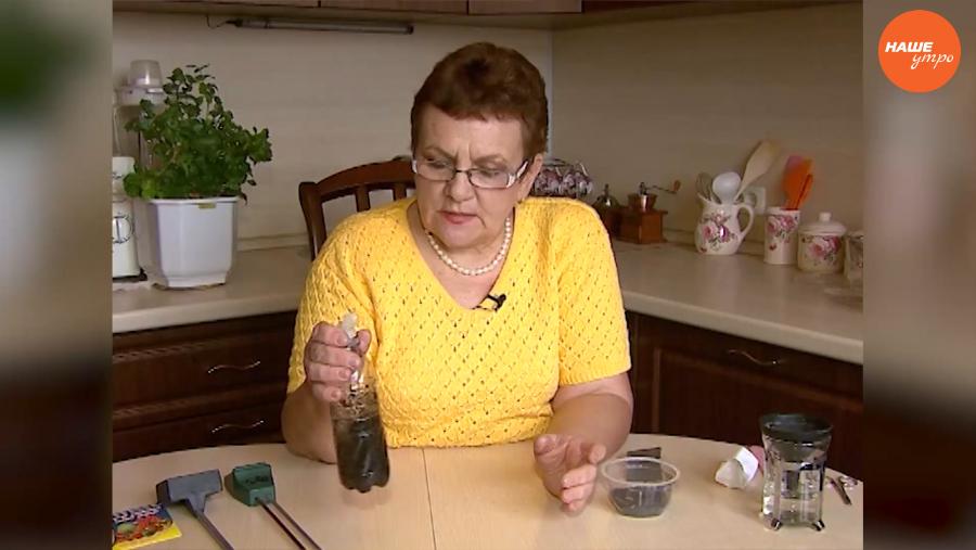 Садовые истории. Как определить кислотность почвы?