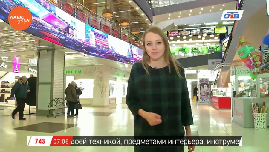 Опрос: Как уменьшить количество бездомных животных?