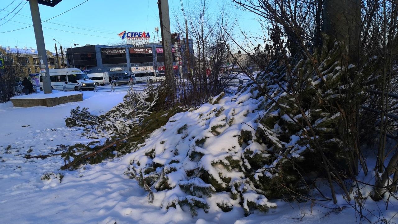 ставят ли елку на кладбище. новогодняя елка на кладбище. ставят ли елку на кладбище. украшение елка на кладбище. елочка на кладбище.