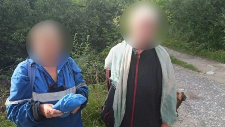 Две пенсионерки заблудились в лесу под Ашой