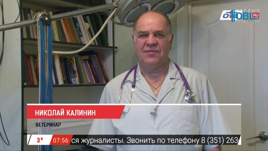 Наше УТРО на ОТВ – зоосоветы от ветеринарного врача Николая Калинина