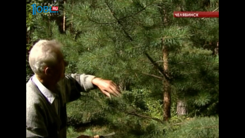 Южноуралец выращивает редкие для региона растения