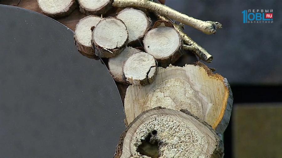 Зеркало из веток и бревен