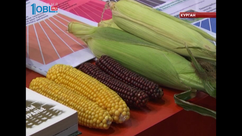  На выставке "Экопродукты Урала" южноуральские аграрии выиграли 81 медаль