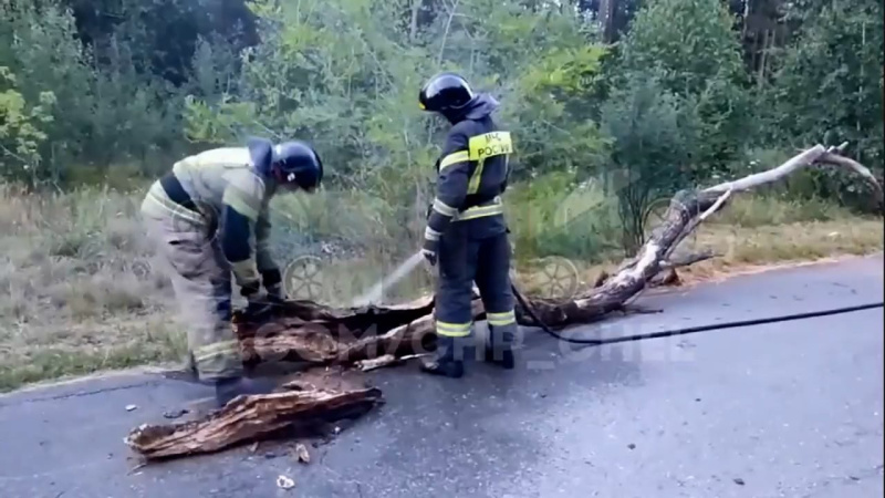В Челябинске неизвестные подожгли бревно в парке Гагарина