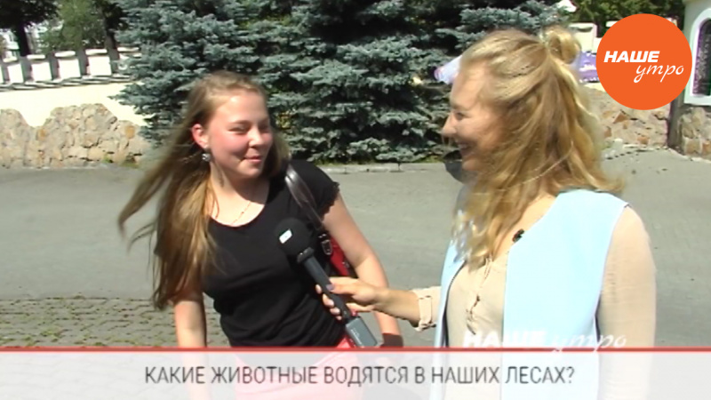 какие животные водятся в наших лесах