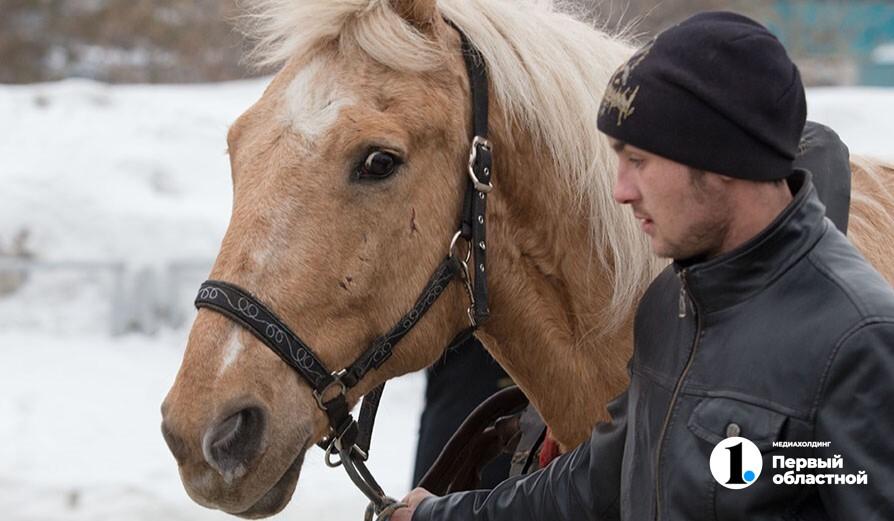 «Лошадь в тумане»: в Челябинской области семья на санях заблудилась в непогоду
