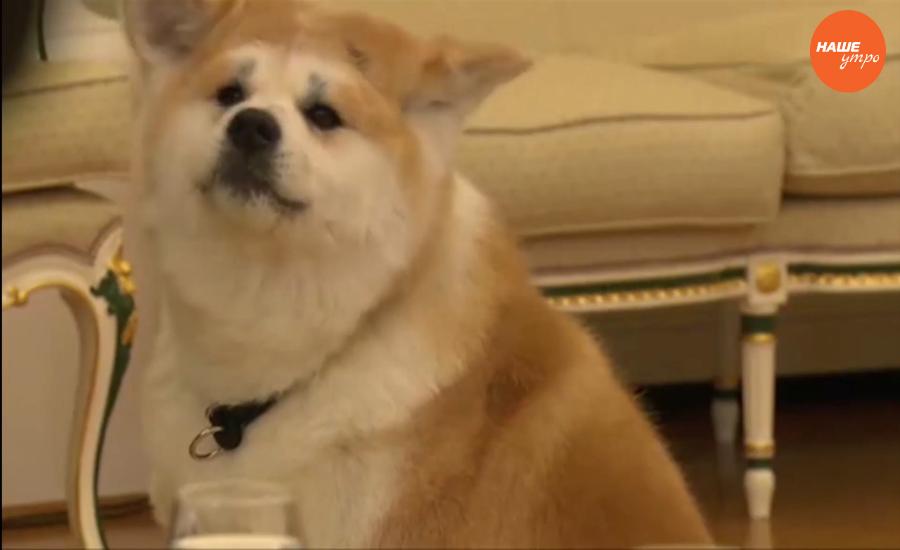 Обзор интернета за 16 декабря