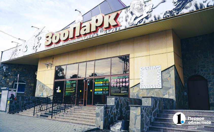 В челябинском зоопарке из спячки вышел медведь