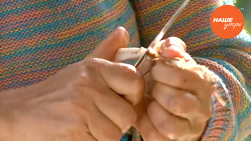 Обрабатываем корни девясила