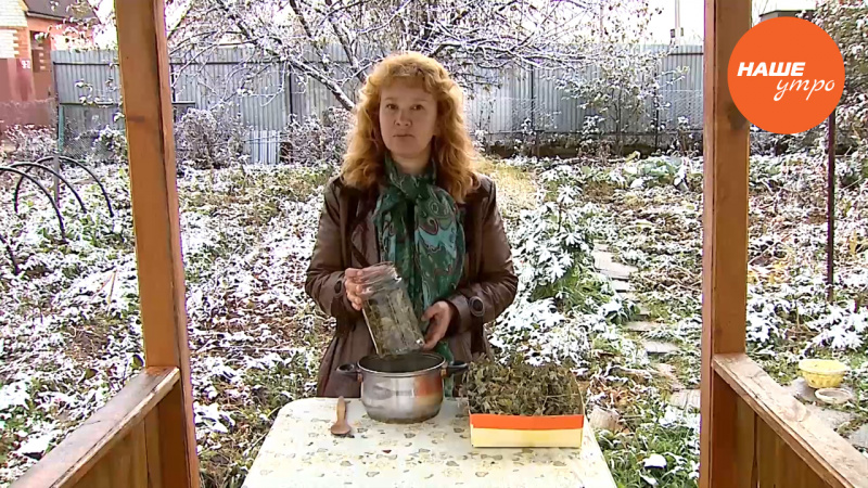 Заготавливаем чистотел 