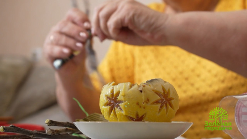 Обрезка гортензий и прививки для деревьев