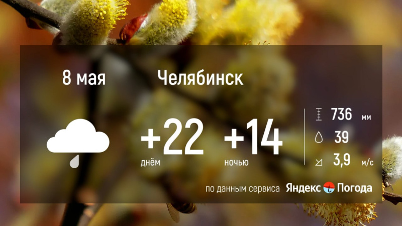В Челябинской области 8 мая будет жаркая погода