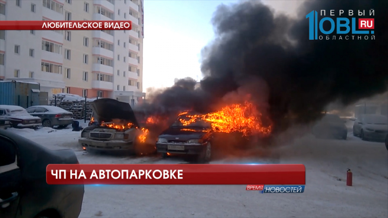 В области произошли сразу два случая нападения собак на детей 