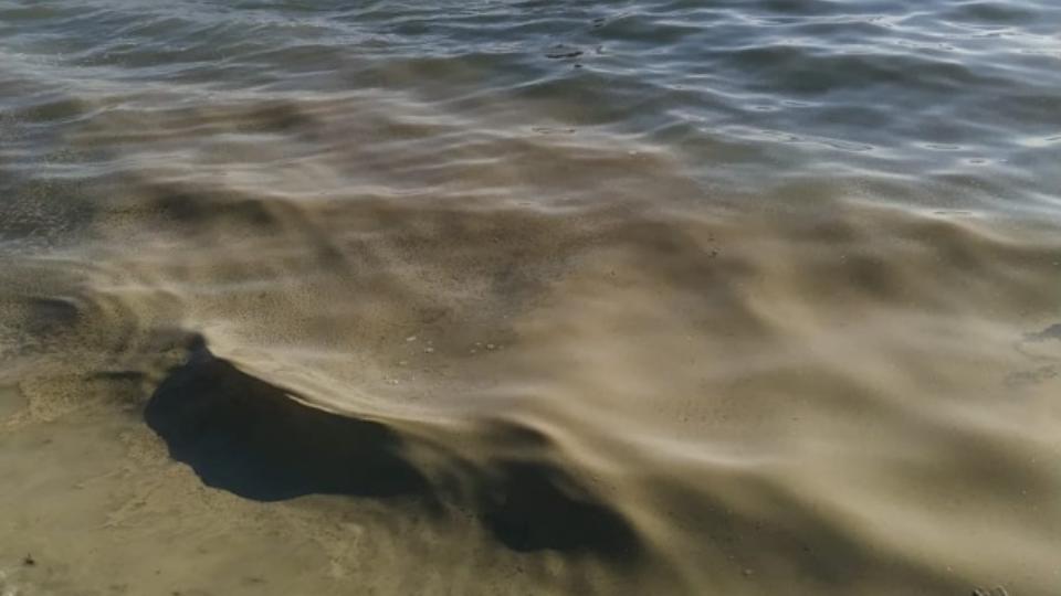 Вода в озере Тургояк окрасилась в мутно‑зеленый цвет