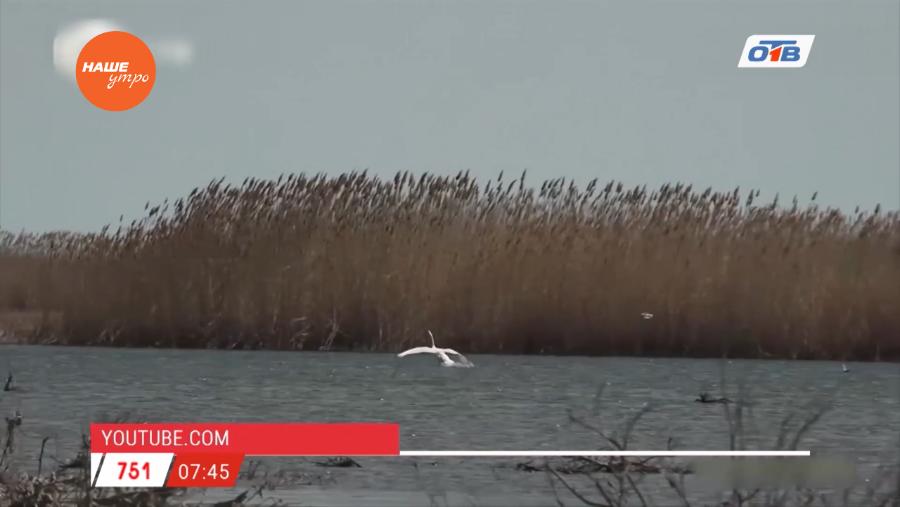 Наше УТРО на ОТВ – день в истории 3 марта