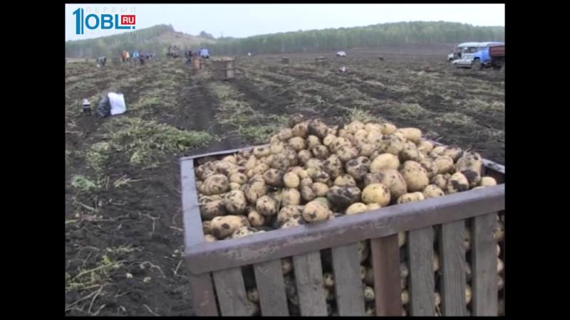 Время новостей. Миасс от 21.09.2016