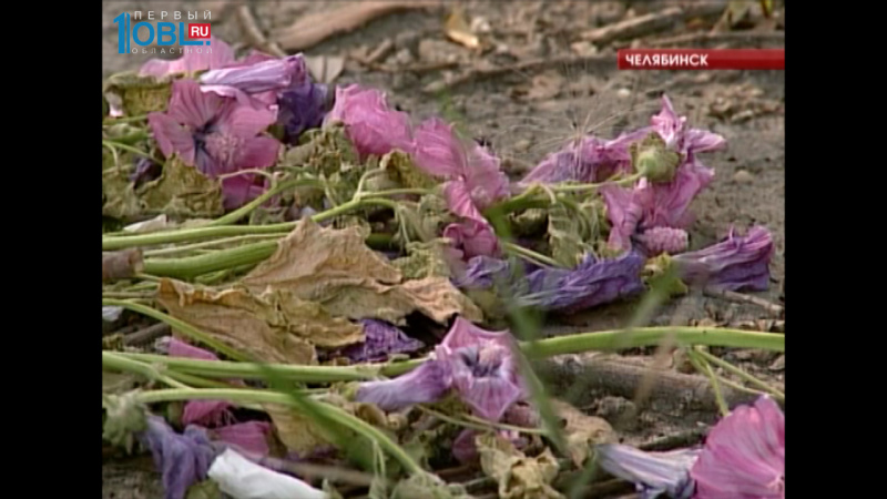 Происшествия дня 04.08.2016