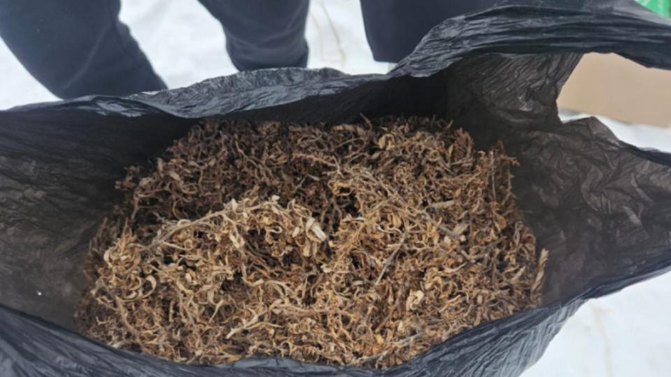 В Троицке за день задержали трех мужчин с наркотиками