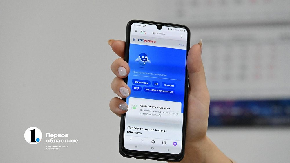 Избиратели Челябинской области впервые смогут голосовать с помощью сайта или мобильного приложения