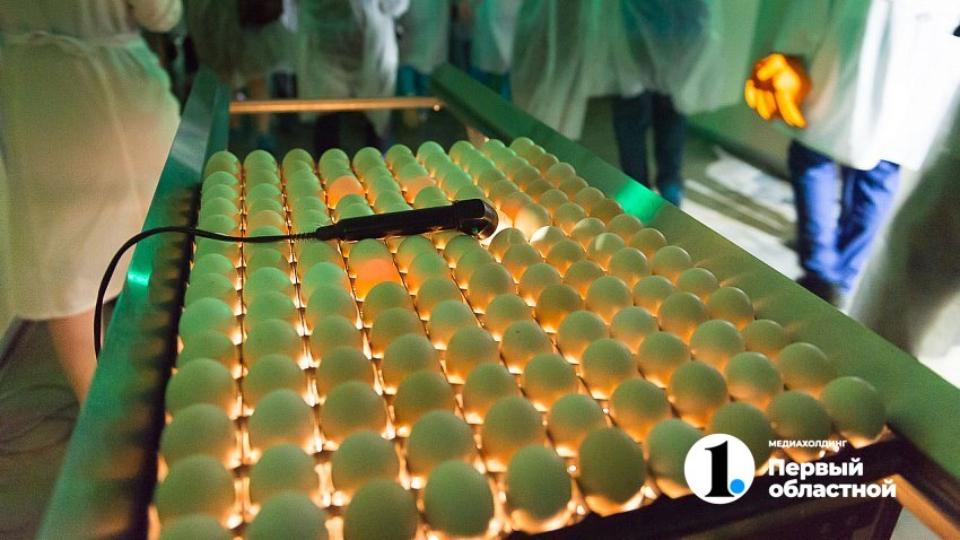 Рост цен на яйца в Челябинской области продолжат сдерживать