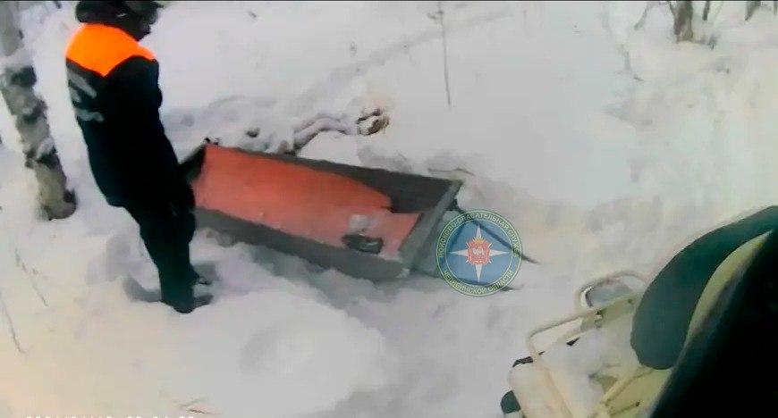 В лесу под Кыштымом погибла женщина