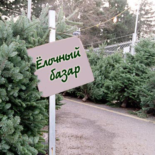 Реализация хвойных деревьев.jpg е1.jpg