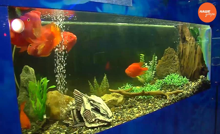 Лучшие выходные