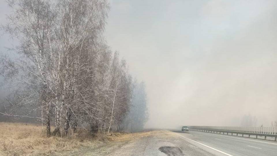 Трассу в Челябинской области затянуло дымом от природного пожара
