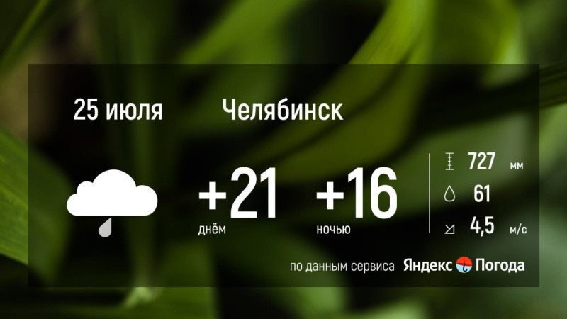 В Челябинской области ожидаются дожди 25 июля