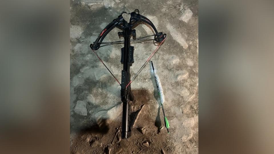 Наркокурьера с арбалетом задержали у стен колонии в Кыштыме