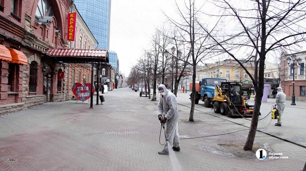 Челябинский эпидемиолог оценил вероятность локдауна из-за оспы обезьян