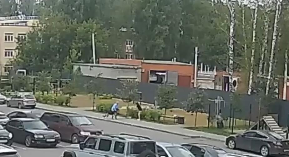 В Челябинске домашняя овчарка загрызла другую собаку