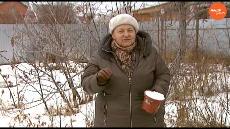 База под макияж