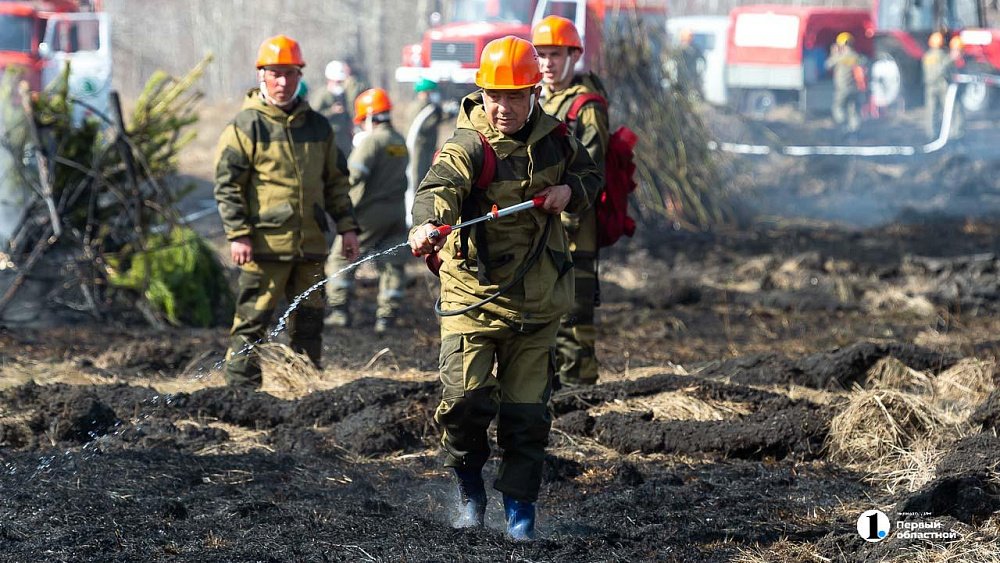 В Челябинской области почти все ландшафтные пожары возникли в населенных пунктах