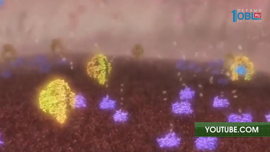 Жизнь с диабетом. Регулярные анализы