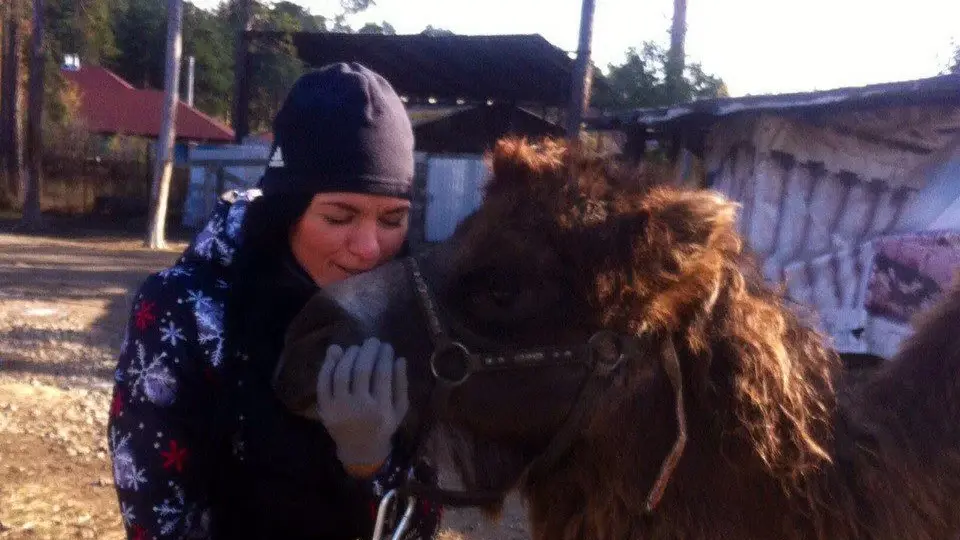 В Челябинске продают верблюда за 250 тысяч рублей