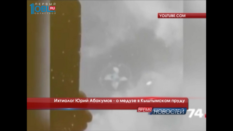 Ихтиолог Юрий Абакумов - о медузе в Кыштымском пруду
