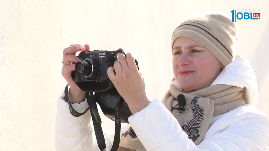 На приусадебном участке